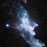 Witch’s Head Reflection Nebula, IC 2118 taken by Randy Light of College Station