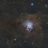 Iris Nebula, NGC7023 taken by Theresa Zittritsch of Williston